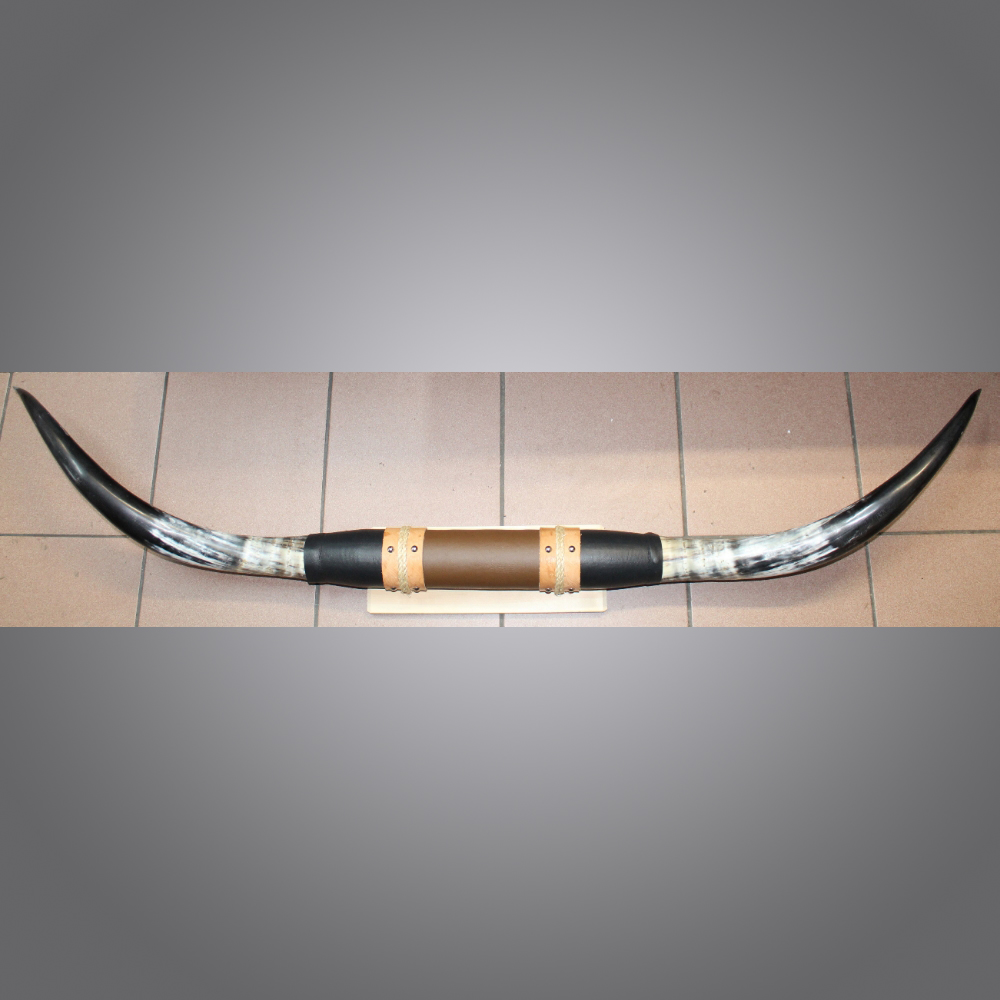 Longhorn-160cm