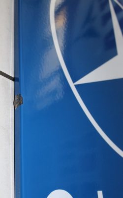 Mercedes Benz Original Teile Emailschild 5